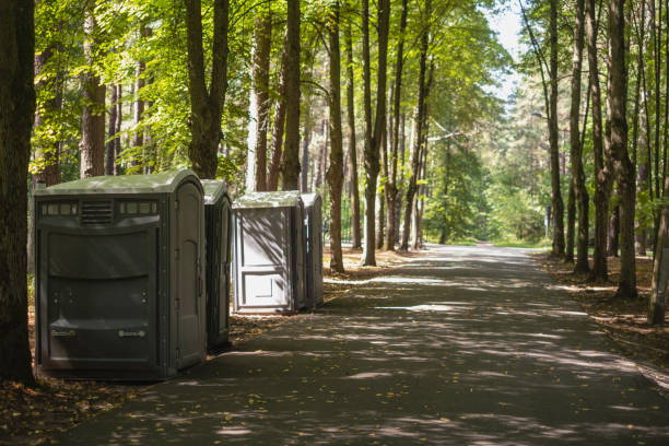Best Luxury portable toilet rental  in Frazier Park, CA